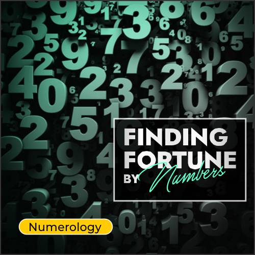 New In-App Live System